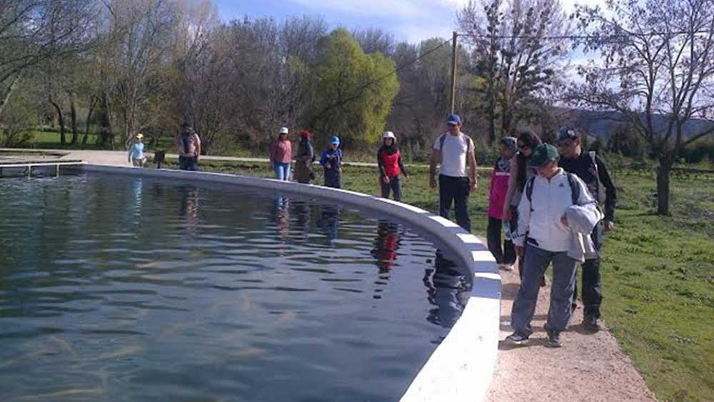 Jardins